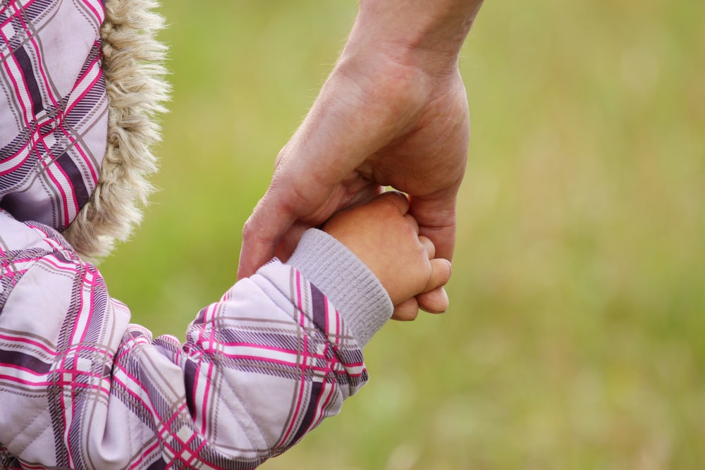 custody lawyer